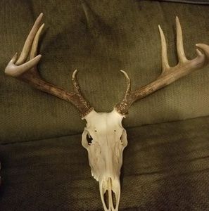 Meet your Posher, Ray